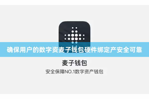 确保用户的数字资麦子钱包硬件绑定产安全可靠