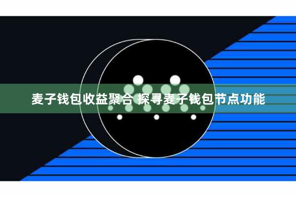麦子钱包收益聚合 探寻麦子钱包节点功能