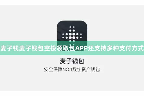麦子钱麦子钱包空投领取包APP还支持多种支付方式