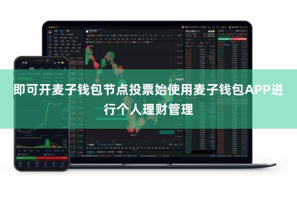 即可开麦子钱包节点投票始使用麦子钱包APP进行个人理财管理