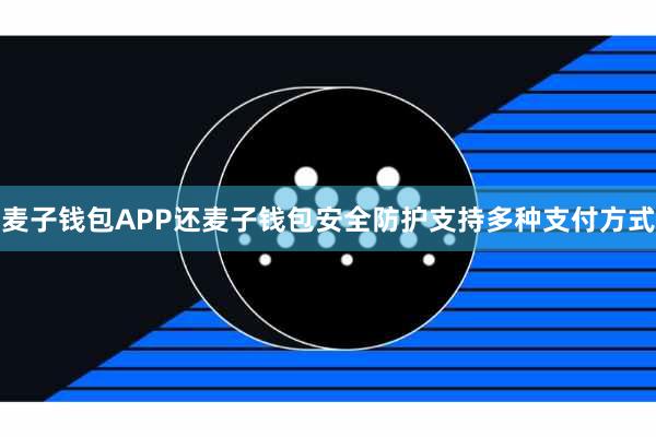 麦子钱包APP还麦子钱包安全防护支持多种支付方式