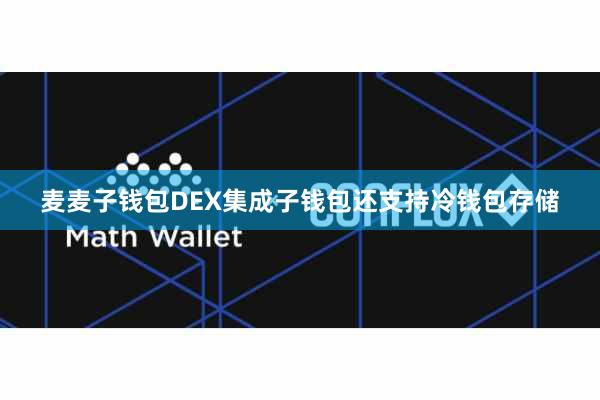 麦麦子钱包DEX集成子钱包还支持冷钱包存储