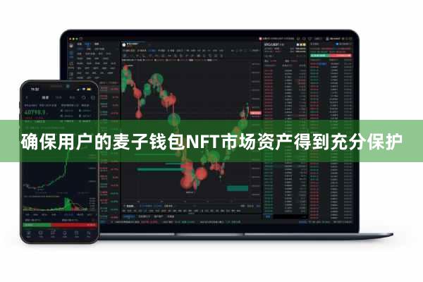 确保用户的麦子钱包NFT市场资产得到充分保护