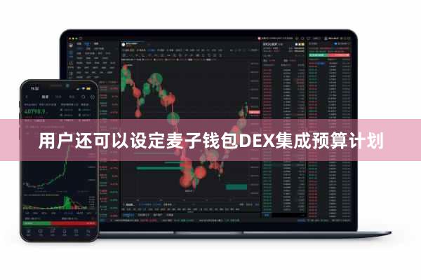 用户还可以设定麦子钱包DEX集成预算计划