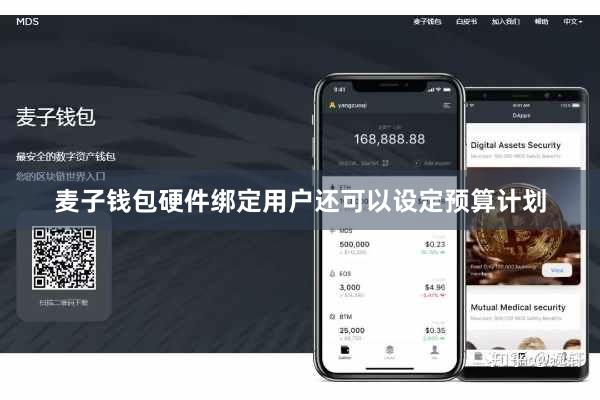 麦子钱包硬件绑定用户还可以设定预算计划