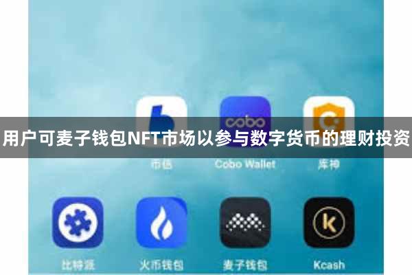 用户可麦子钱包NFT市场以参与数字货币的理财投资