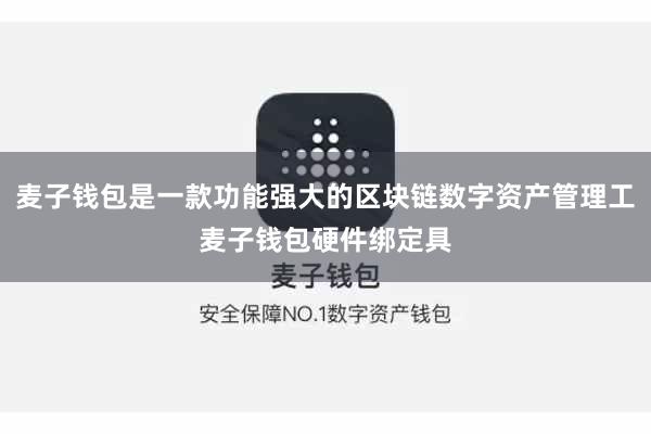 麦子钱包是一款功能强大的区块链数字资产管理工麦子钱包硬件绑定具