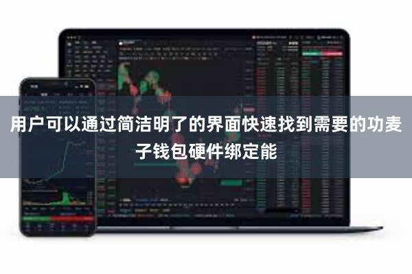 用户可以通过简洁明了的界面快速找到需要的功麦子钱包硬件绑定能