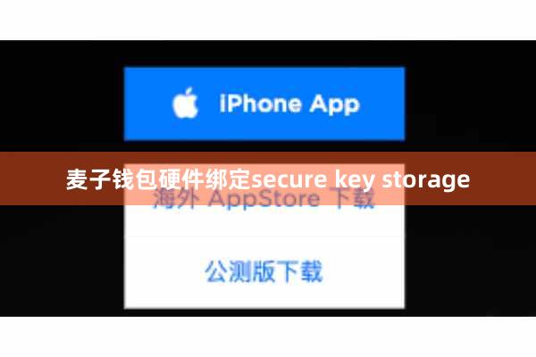麦子钱包硬件绑定secure key storage