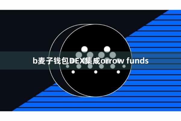b麦子钱包DEX集成orrow funds