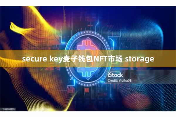secure key麦子钱包NFT市场 storage