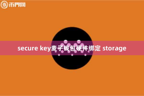 secure key麦子钱包硬件绑定 storage