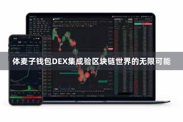 体麦子钱包DEX集成验区块链世界的无限可能