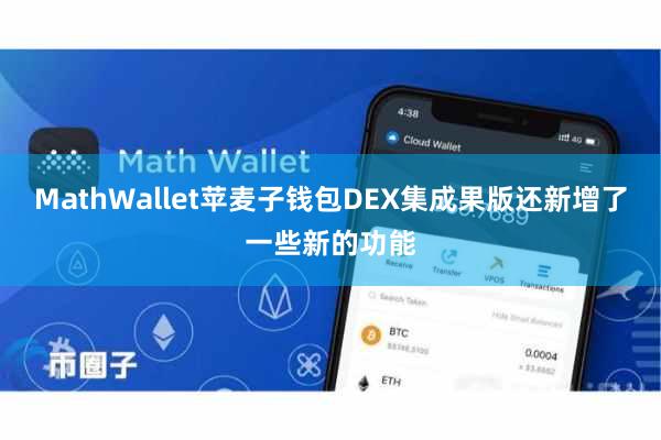 MathWallet苹麦子钱包DEX集成果版还新增了一些新的功能
