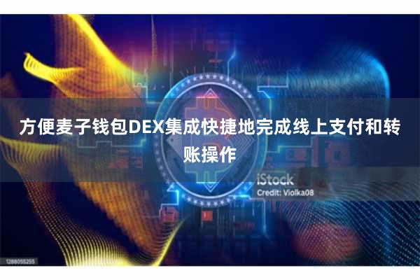方便麦子钱包DEX集成快捷地完成线上支付和转账操作