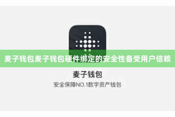 麦子钱包麦子钱包硬件绑定的安全性备受用户信赖