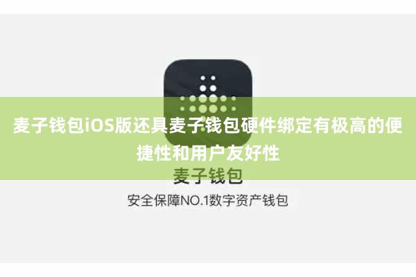 麦子钱包iOS版还具麦子钱包硬件绑定有极高的便捷性和用户友好性