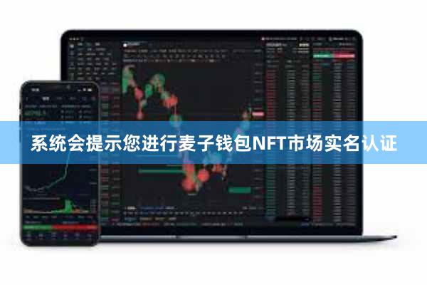 系统会提示您进行麦子钱包NFT市场实名认证
