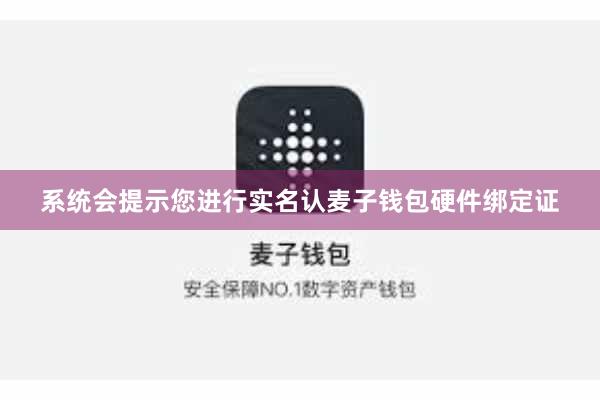 系统会提示您进行实名认麦子钱包硬件绑定证