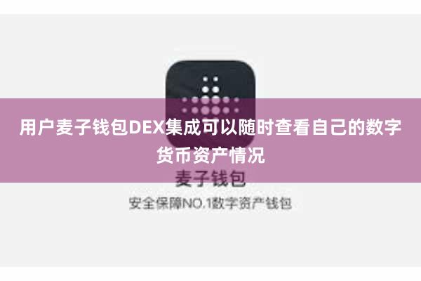 用户麦子钱包DEX集成可以随时查看自己的数字货币资产情况